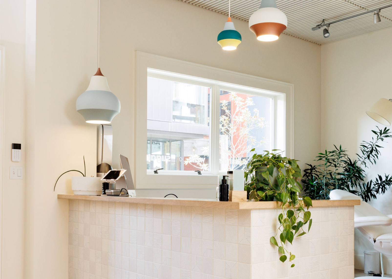 Modern interior with a reception desk and decorative plants