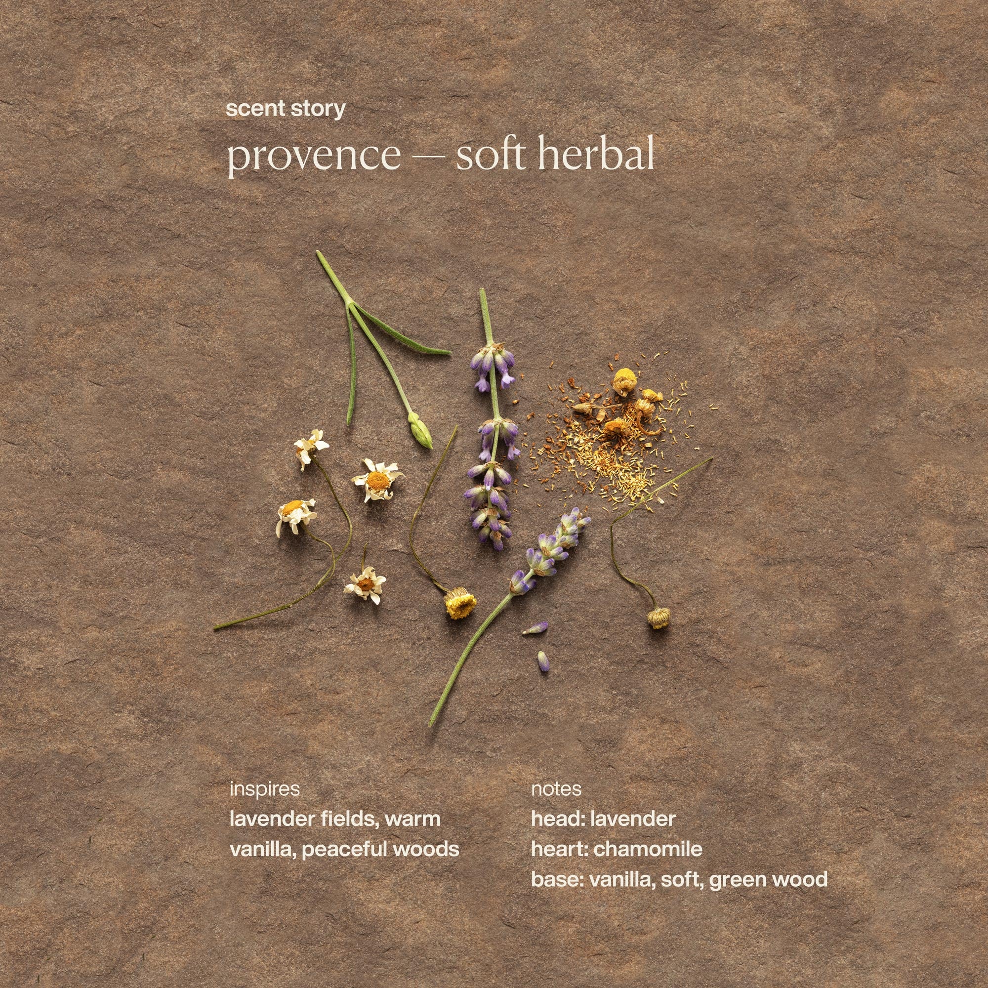Provence Hydrating Hand Cream