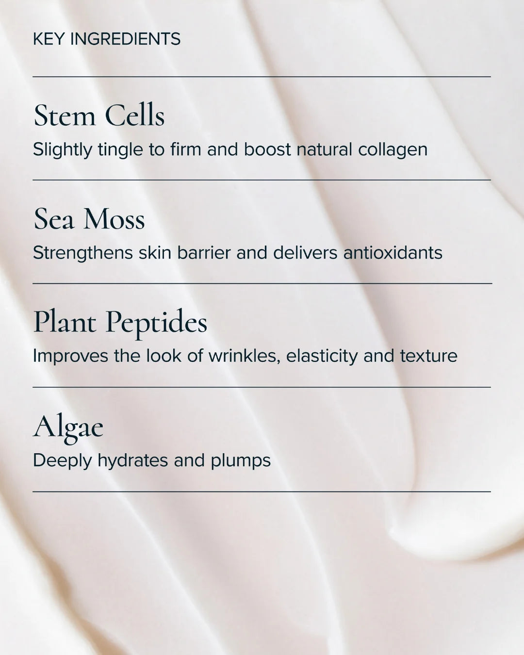 SeaDream Algae Creme Moisturizer